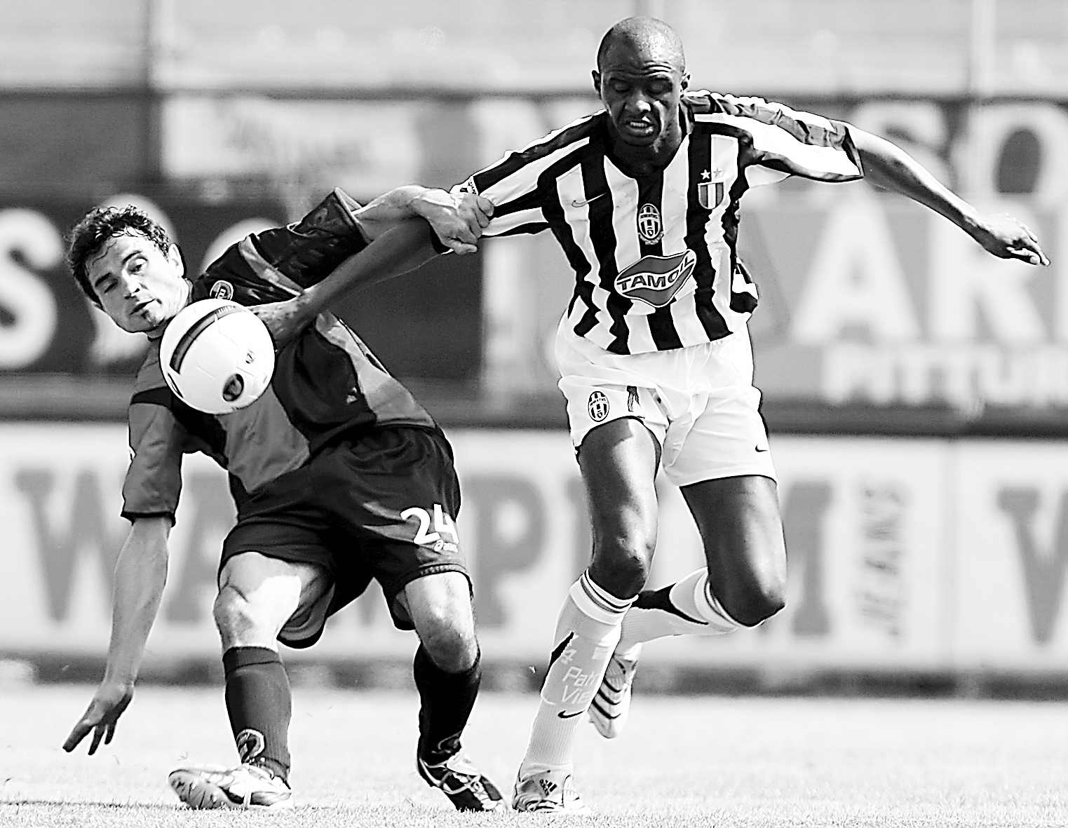 明星夫妻或 明星夫妻或