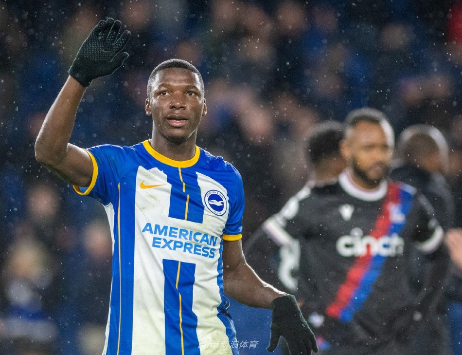 赛中扮演了 赛中扮演了