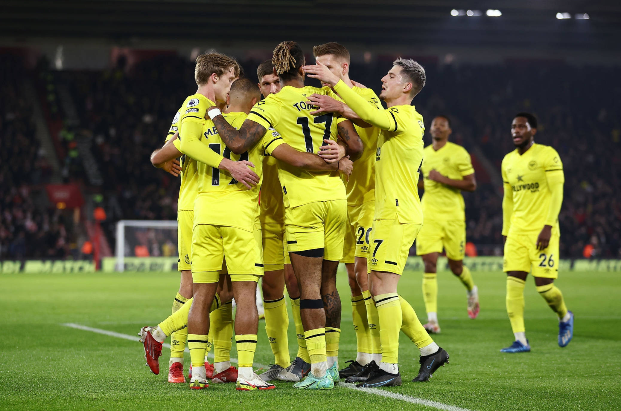 森纳展开了 森纳展开了