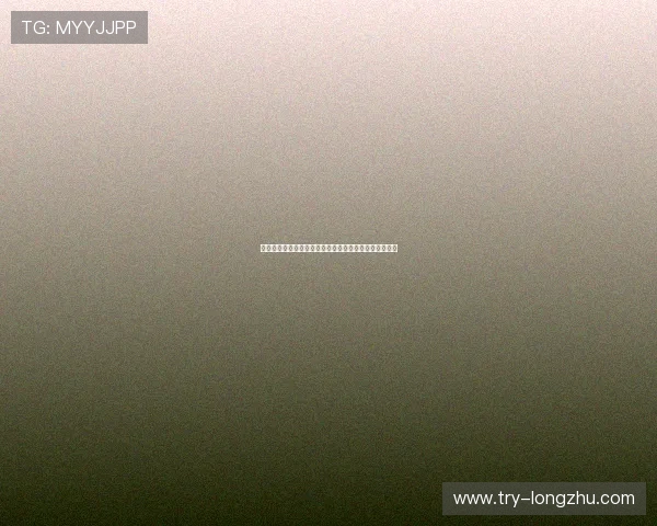 迪马济奥：罗马难以满足狼队对法比奥席尔瓦的转会要价